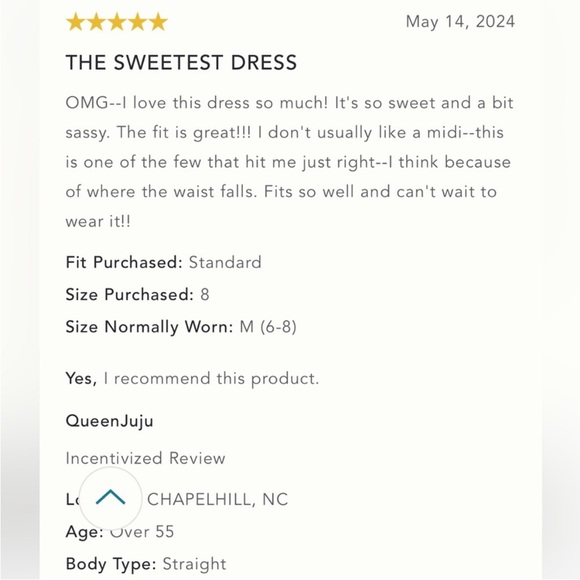 Anthropologie NWT THE CECILY FIT & FLARE SWEETHEART DRESS BY MAEVE size L - Picture 14 of 15